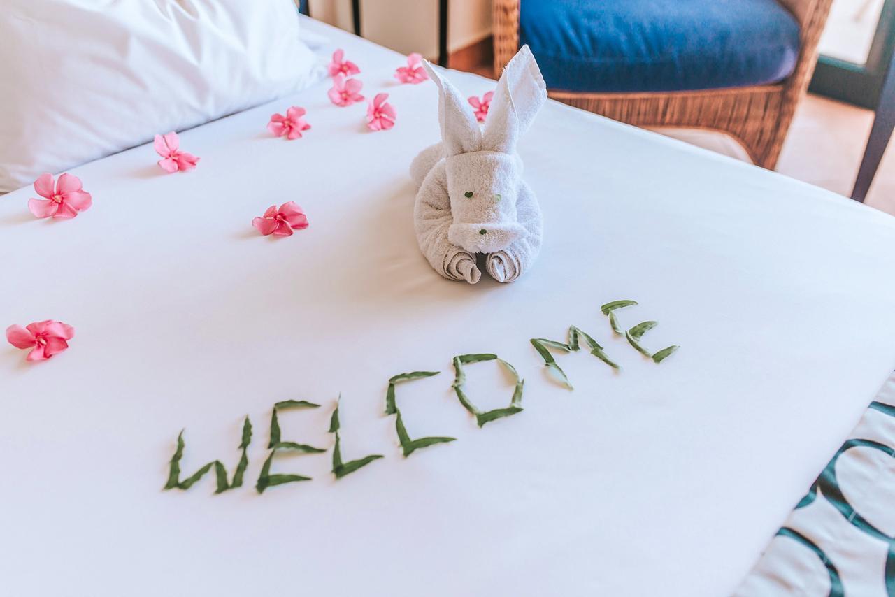 Hotel Alpino Atlantico Ayurveda Cure Centre - Adults Only カニコ エクステリア 写真