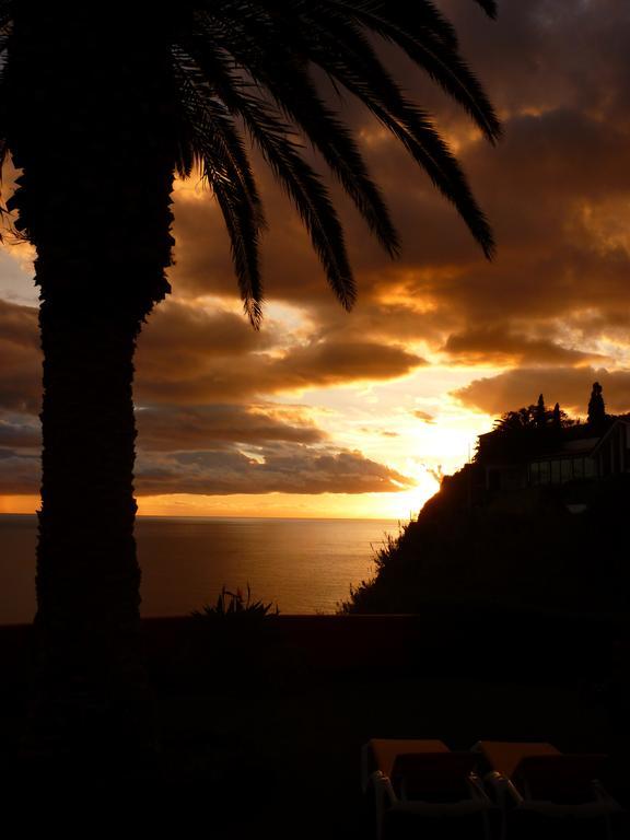 Hotel Alpino Atlantico Ayurveda Cure Centre - Adults Only カニコ エクステリア 写真